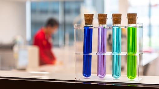 Vier Reagenzgläser, gefüllt mit violetten, blauen, blaugrünen und grünen Flüssigkeiten, sind in einem Gestell angeordnet.