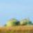biogas plant