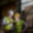 shell lube analyst