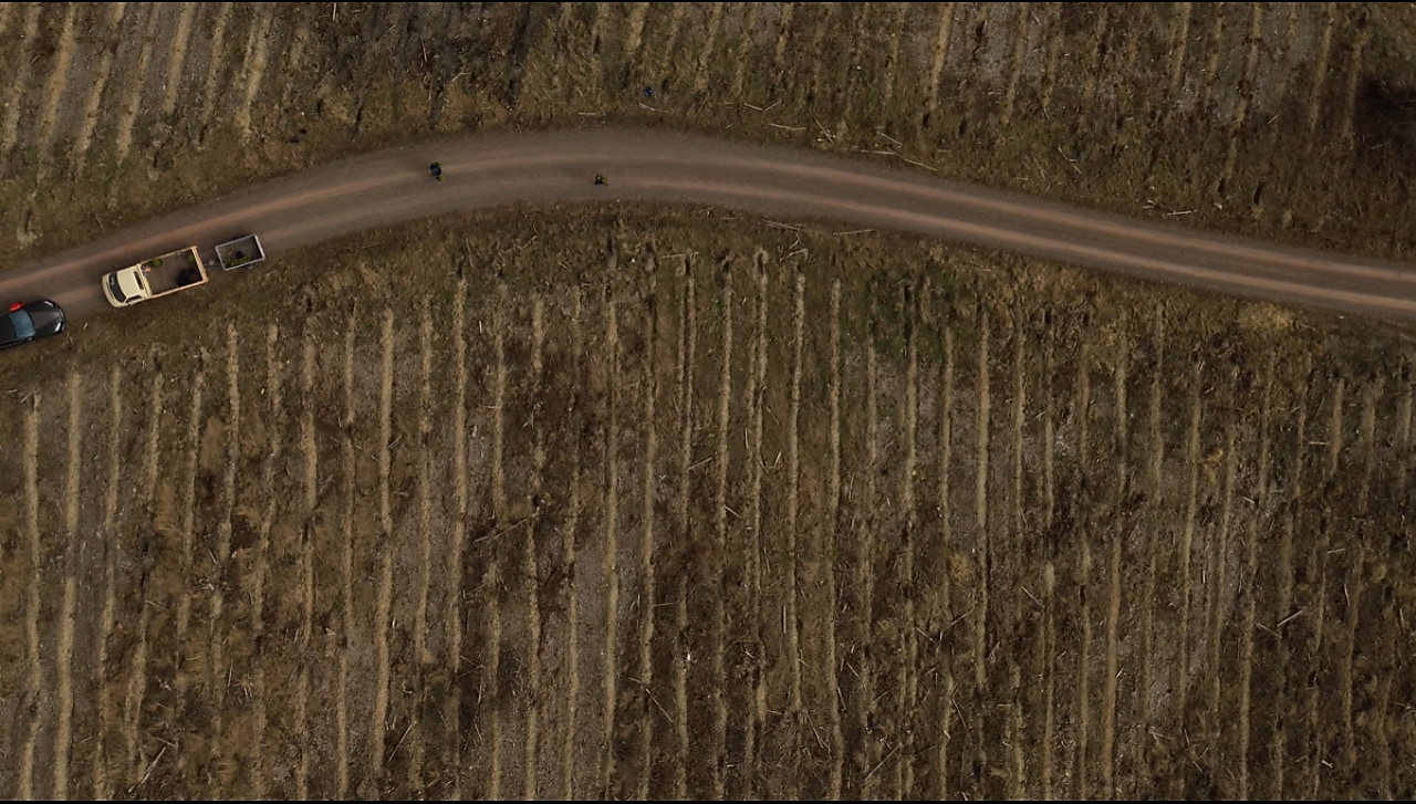 Luftaufnahme eines abgeholzten Waldgebiets mit einer kurvigen Straße in der Mitte, an der mehrere Fahrzeuge parken. Baumstümpfe und kahle Bodenstreifen deuten auf kürzliche Abholzungen hin