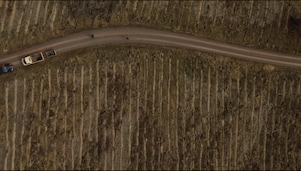 Luftaufnahme eines abgeholzten Waldgebiets mit einer kurvigen Straße in der Mitte, an der mehrere Fahrzeuge parken. Baumstümpfe und kahle Bodenstreifen deuten auf kürzliche Abholzungen hin