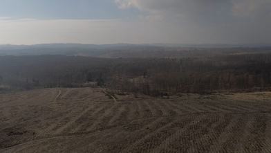 Eine offene, karge Landschaft mit kahlen Bäumen und nebeligen Hügeln im Hintergrund. Der Himmel ist bewölkt.