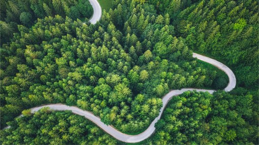 Ziel Netto-Null-Unternehmen. Grüner Wald mit Straße.