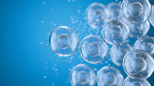 Hydrogen Concept
