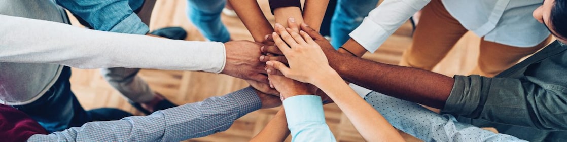 multiple hands showing unity