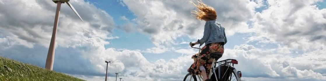 Netto-Null bis 2050? "Je früher, desto besser"