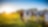 Kühe auf einer grünen Wiese – Symbol für die Verbindung von Landwirtschaft und Biogasproduktion