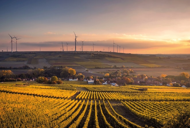 germany sunlight