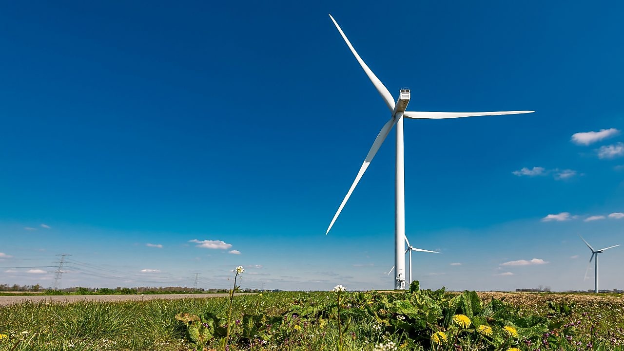 Ein Windrad steht in einem Feld.