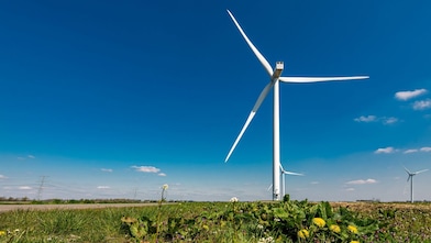 Ein Windrad steht in einem Feld.