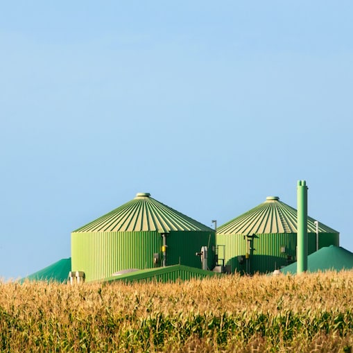 Biogas plant