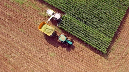 Ein Traktor bei der Maisernte von oben