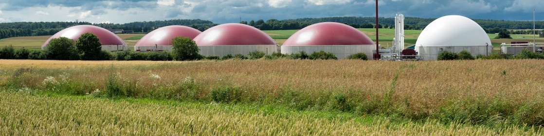 Biomethan Tanks stehen hinter einem Feld