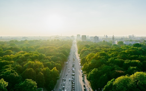 Luftaufnahme einer Straße umschlossen von Bäumen in einer Stadt.
