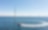Ein Boot fährt um ein Offshore Windrad herum