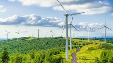 Windräder im Grünen