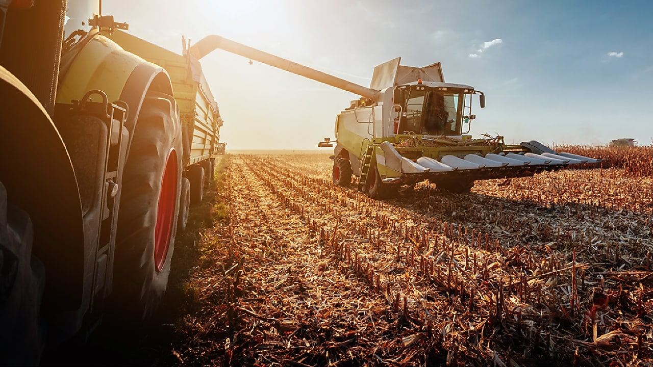 Traktor fährt über das Feld