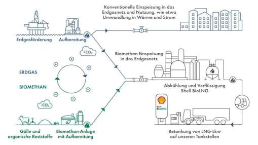 Infografik zur Herstellung von Bio-LNG