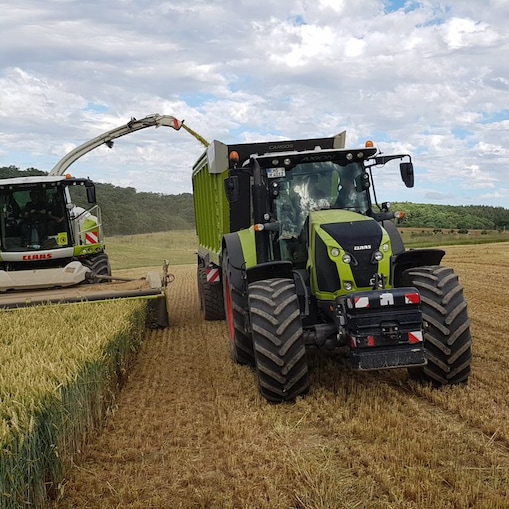 Traktor bewirtschaftet Ackerland