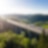 Bild einer Autobahn-Brücke mit LKW und PKW