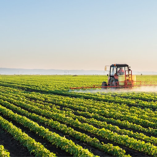 Für eine nachhaltigere Zukunft