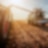 Traktor fährt über das Feld
