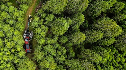 Power engineer climbing wind turbine