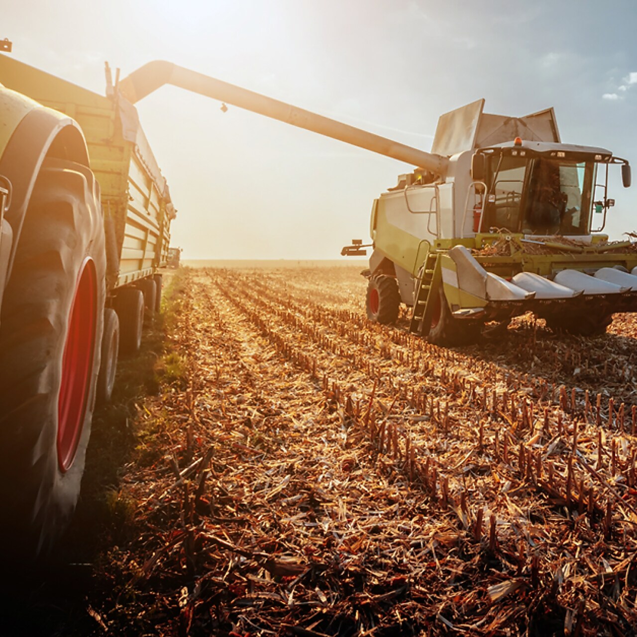 Traktor fährt über das Feld