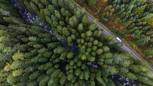 Nature Based Solutions; Glen Garry; Scotland