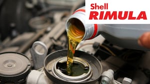 Shell Rimula