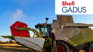 Shell Gadus