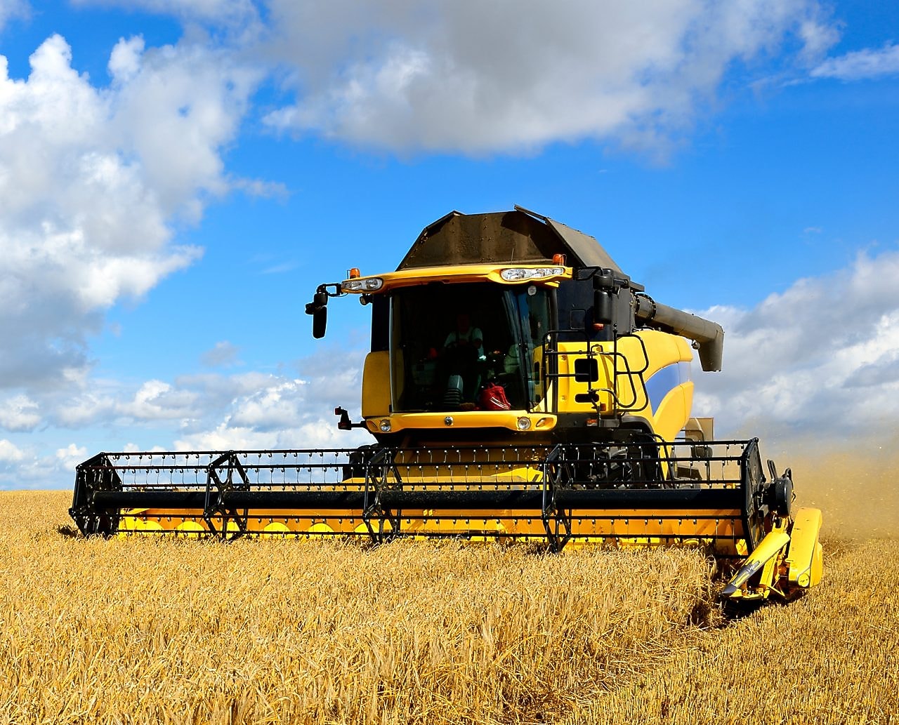 Yellow combine harvester in a field of wheat