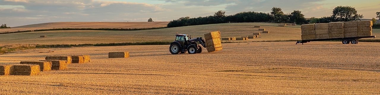 Farmer collecting hale bales with a tractor on his farm