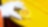 Das Shell-Logo auf einem Tankdeckel