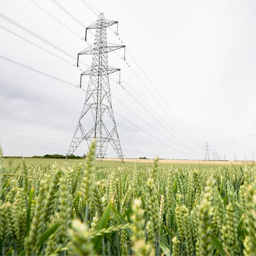 supporting sustainability