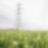 supporting sustainability