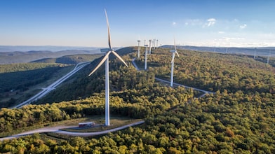 turbines in forest