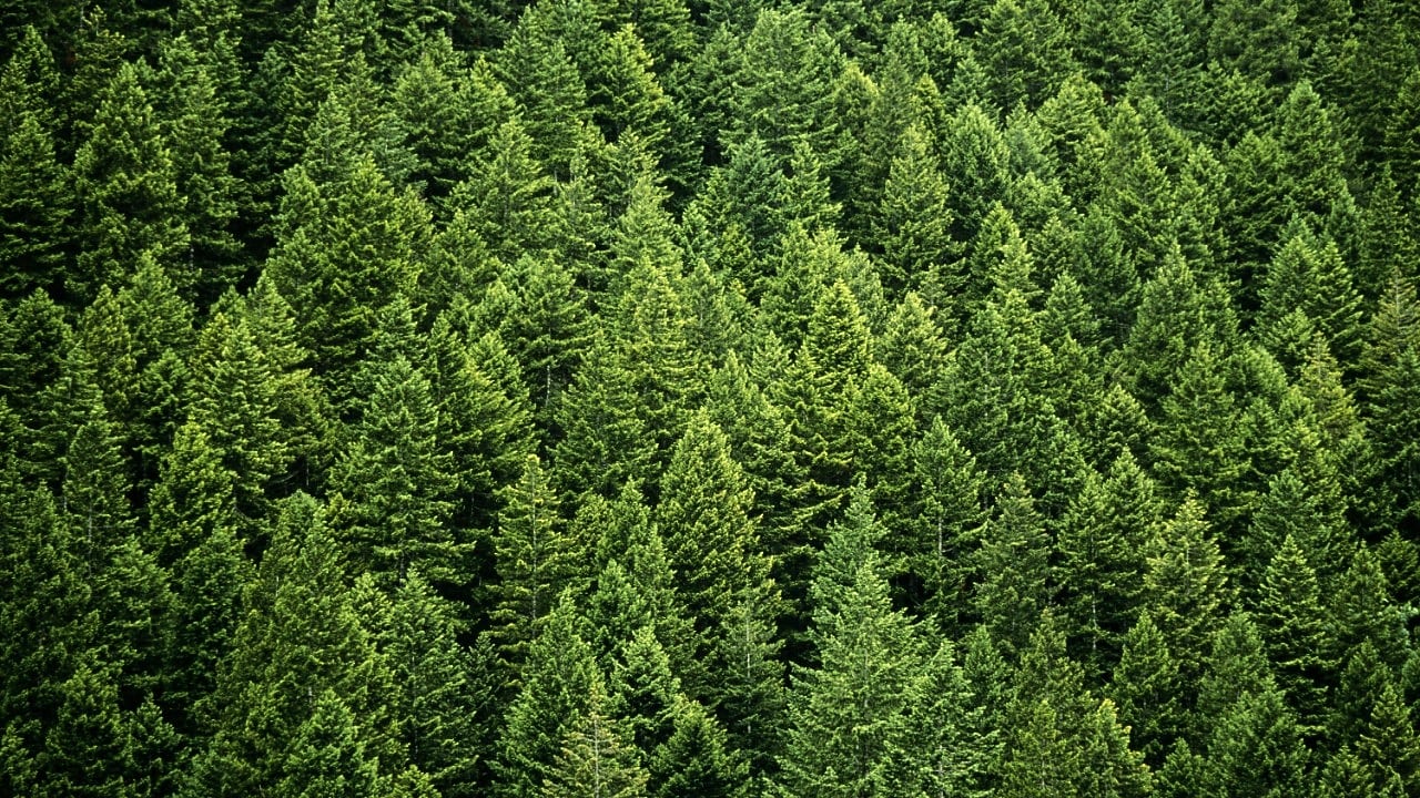 greenery sustainability