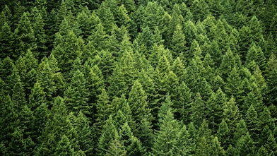 greenery sustainability