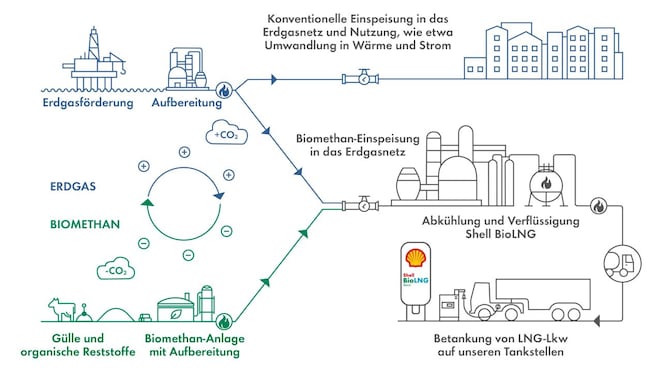 Infografik – Hier wird in einer stilisierten Infografik die Gewinnung/Herstellung von fossilem LNG und der von Shell BioLNG im Vergleich gezeigt.