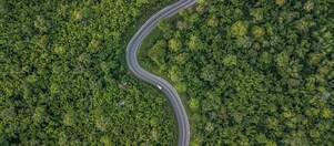 Auto fhrt auf kurviger Strae durch grnen Wald