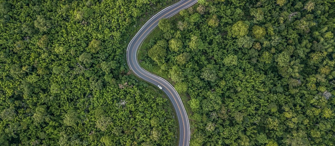 Auto fhrt auf kurviger Strae durch grnen Wald