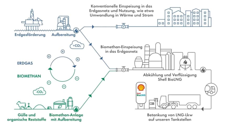 Infografik – Hier wird in einer stilisierten Infografik die Gewinnung/Herstellung von fossilem LNG und der von Shell BioLNG im Vergleich gezeigt.