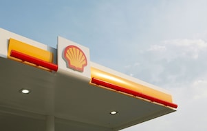 shell pecten with sky clouds