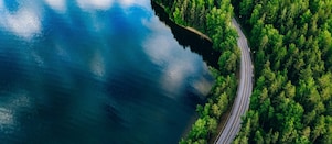 E-Auto auf einer Straße im Wald an einem See