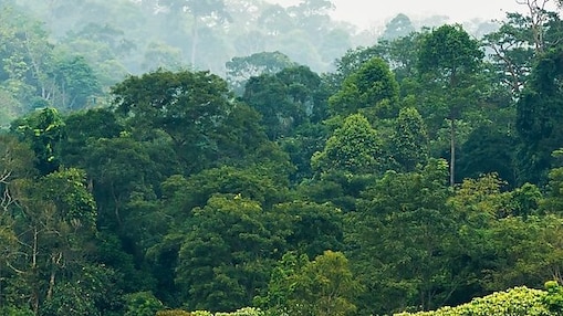 Nachhaltiger Genuss mit Zertifikat